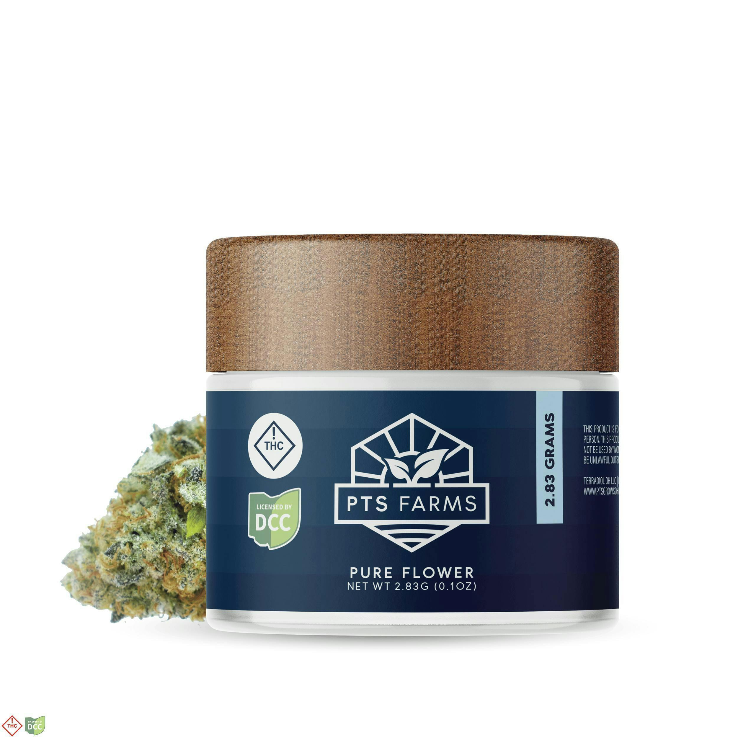 Apple Fritter - 2.83g Whole Flower