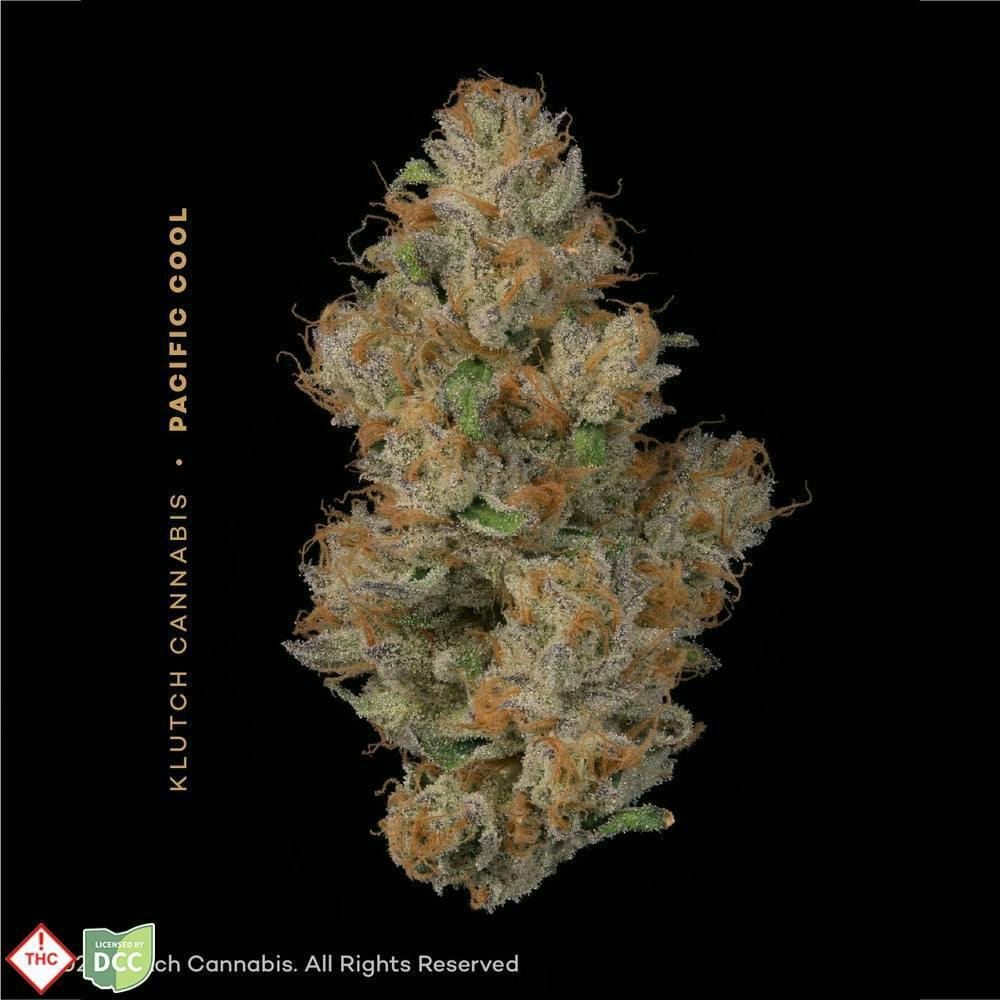 Pacific Cool - 2.83g Whole Flower