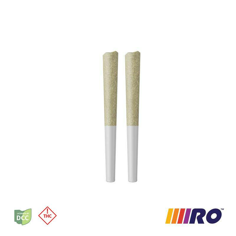 Jack Herer - 1g 2pk Flower Pre-Rolls