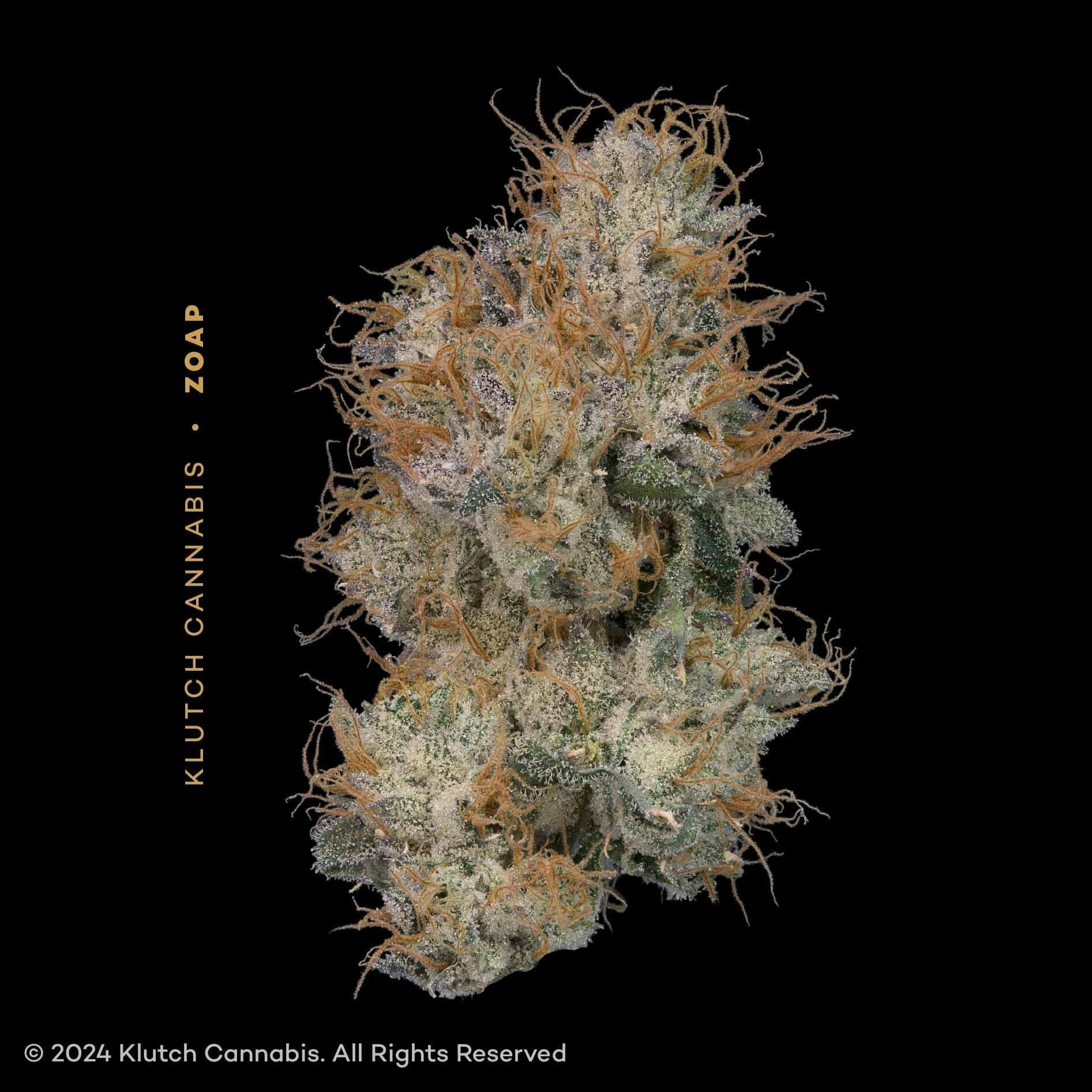 Zoap - 2.83g Whole Flower