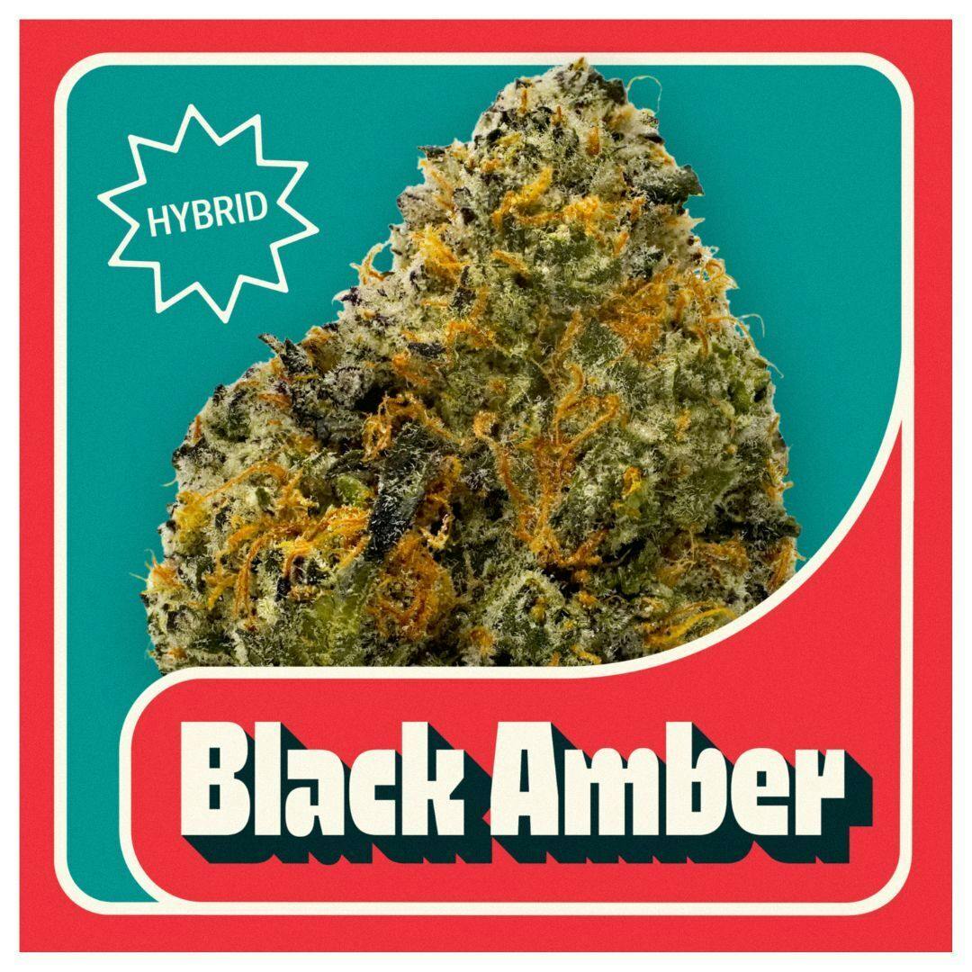 Black Amber Popcorn - 5.66g Smalls