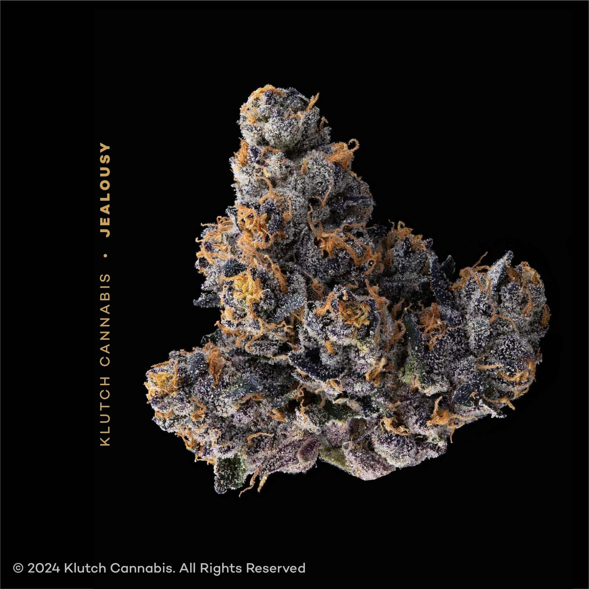 Jealousy - 2.83g Whole Flower