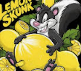 (SR) AOC - Lemon Skunk 1G (S)