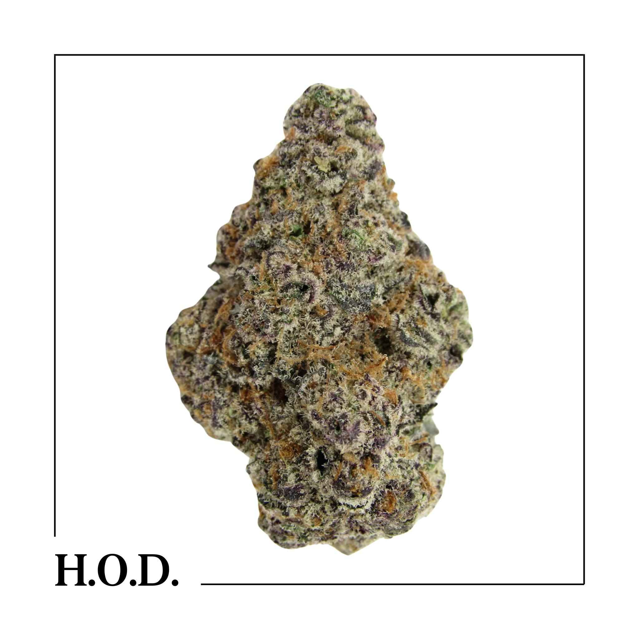 Glorious Cannabis Glitter Bomb x Sweet Tea