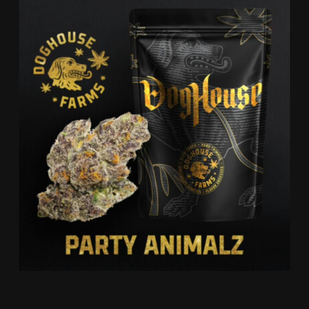 Doghouse Party Animalz