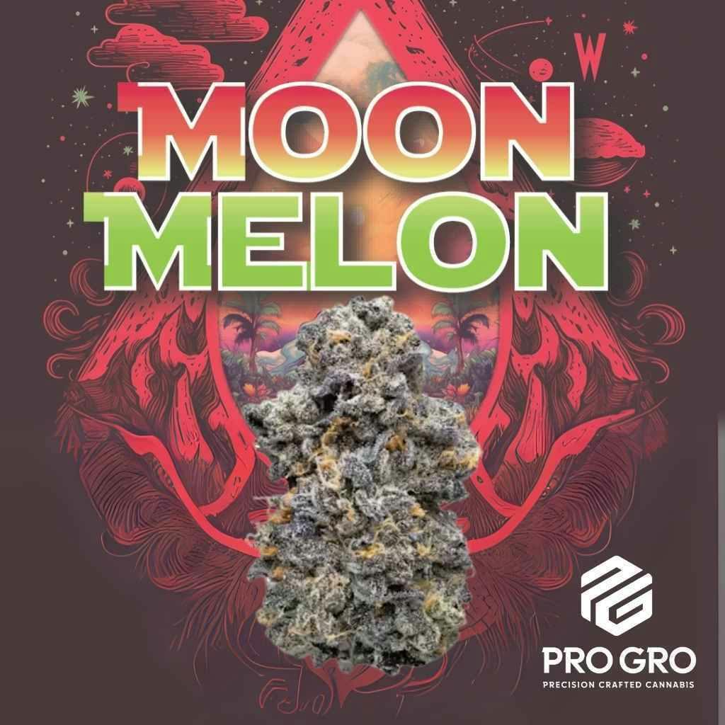 Pro Gro Moonmelon