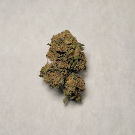 JMO Small Buds - I 14G