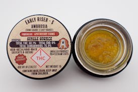 Early Riser Ambrosia - S 1G FH