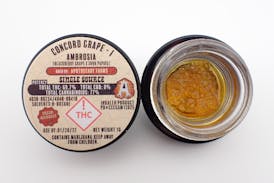Concord Grape Ambrosia - I 1G FH