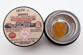 Cheese Ambrosia - I 1G FH