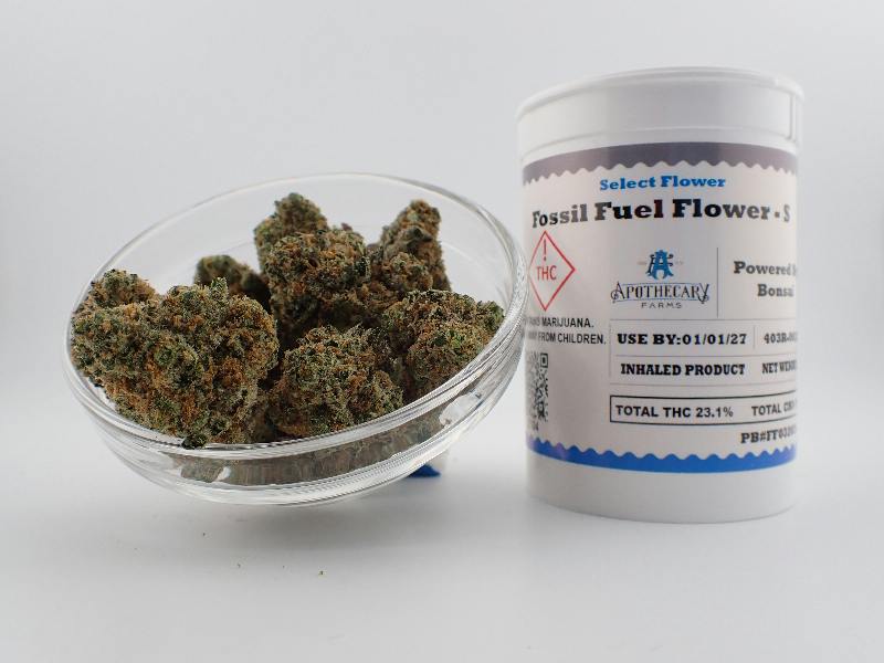 Fossil Fuel Select Flower - S 7G
