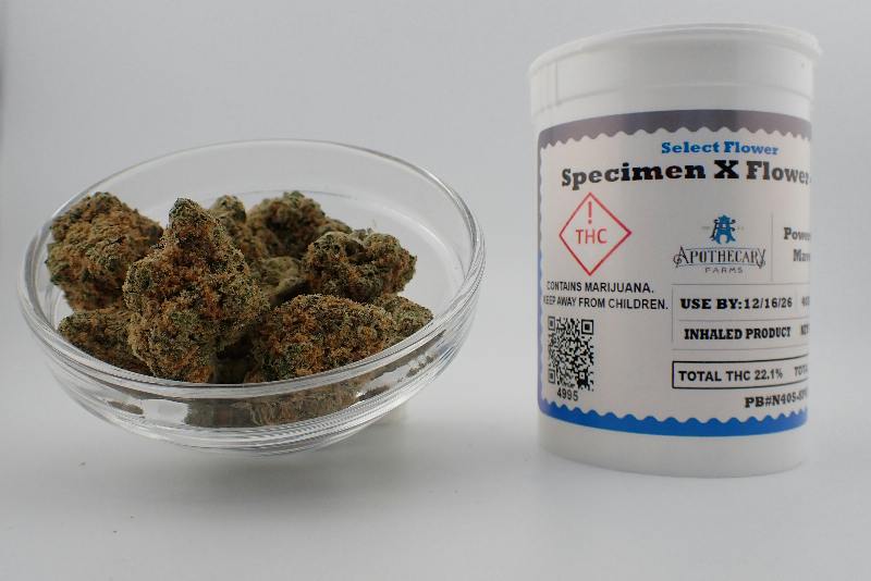 Specimen X Select Flower - S 7G