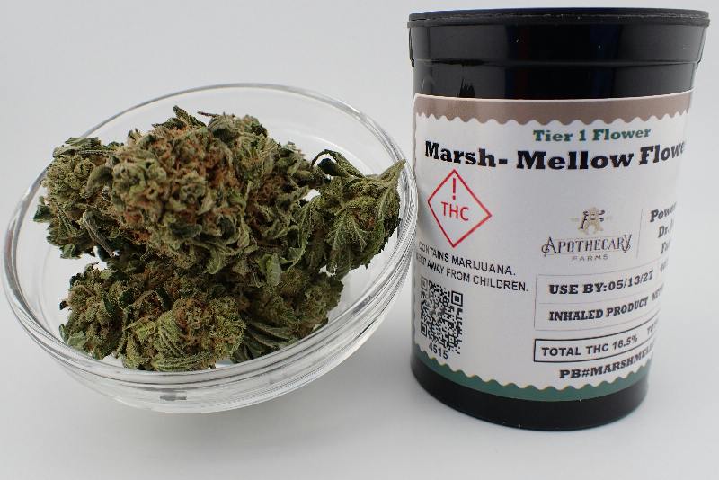 Marsh-Mellow Tier 1 Flower - I 7G