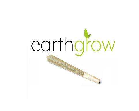 EARTHGROW GRAPE NTZ NUG RUN 1G