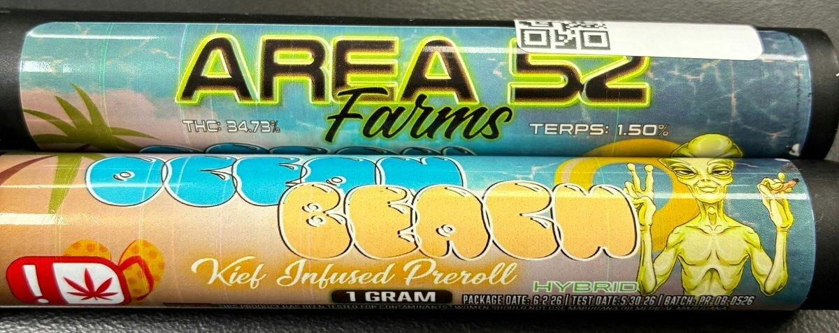 Area 52 | 1g PreRoll | Oceans Beach