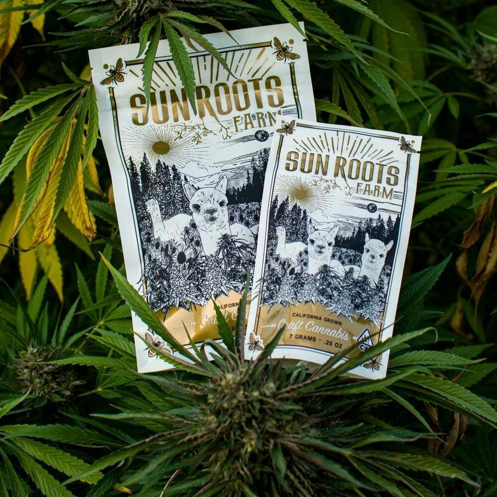 SUN ROOTS FARM - VELVET CERTZ - HYBRID -