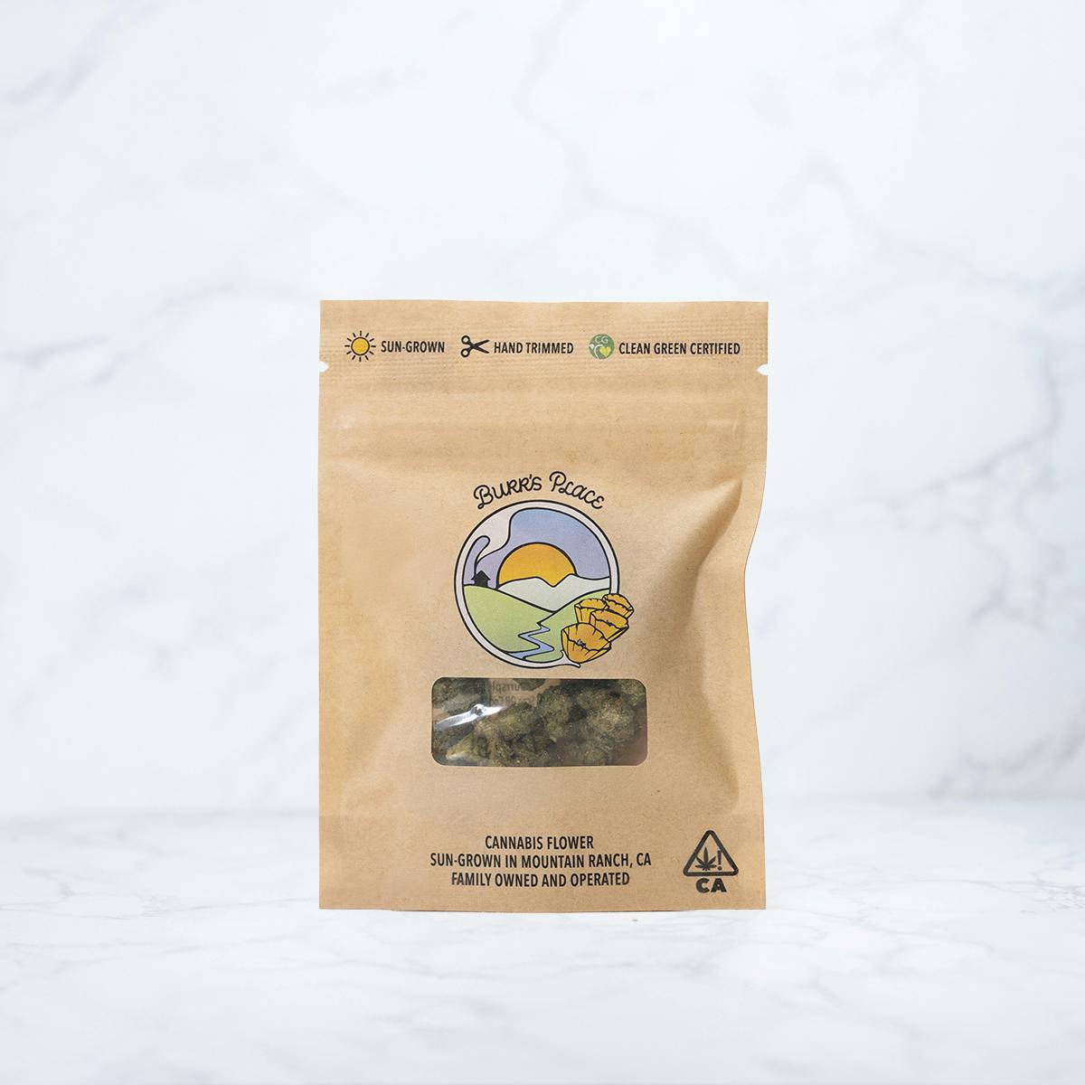 BURRS PLACE - BLUEBERRY PANCAKES - INDICA -