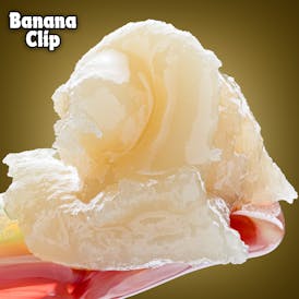 Banana Clip Live Rosin (3.5g)