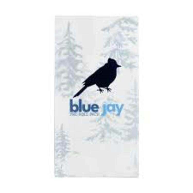 Blue Jay Choking Hazard