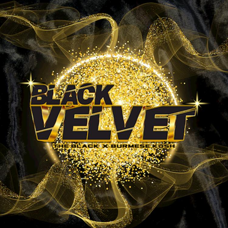 Fox Black Velvet 1g