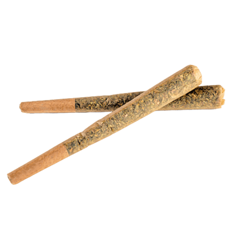 Gold Services PR Glitter Bomb 2x1g