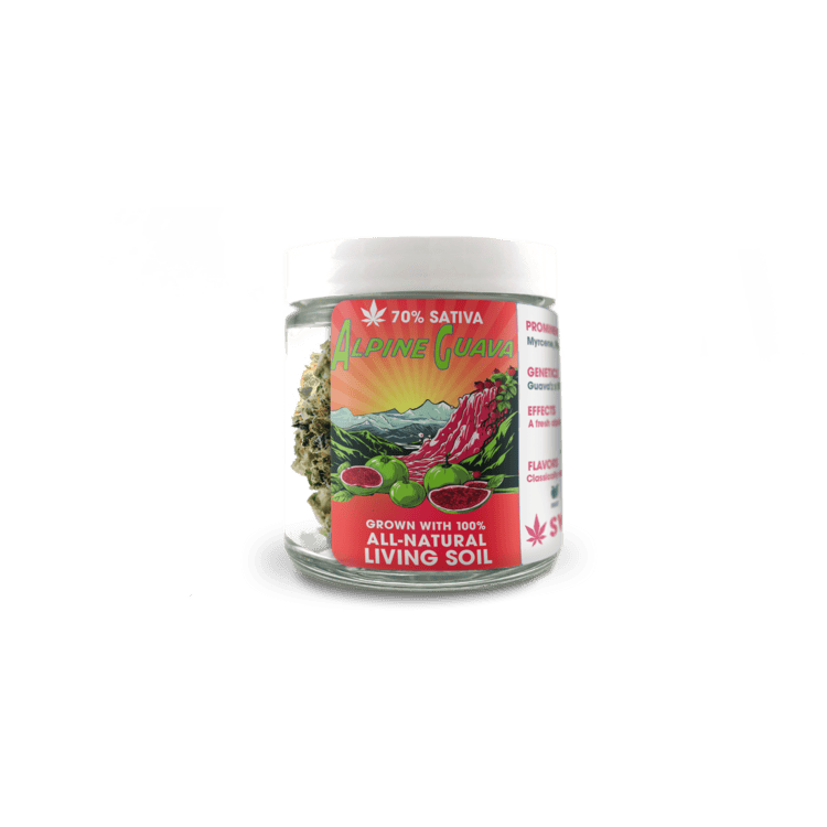 Sweetwater Alpine Guava 1g Hybrid