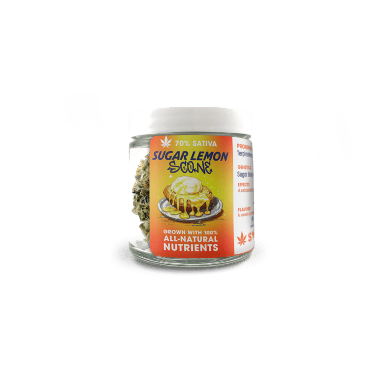 Sweetwater Sugar Lemon Scone 1g Hybrid