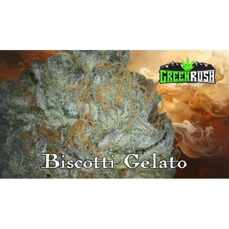 Green Rush Biscotti Gelato 3.5g Indica