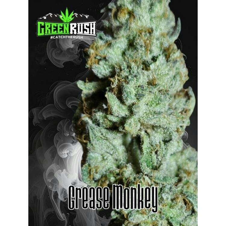 Green Rush Grease Monkey 1g Indica