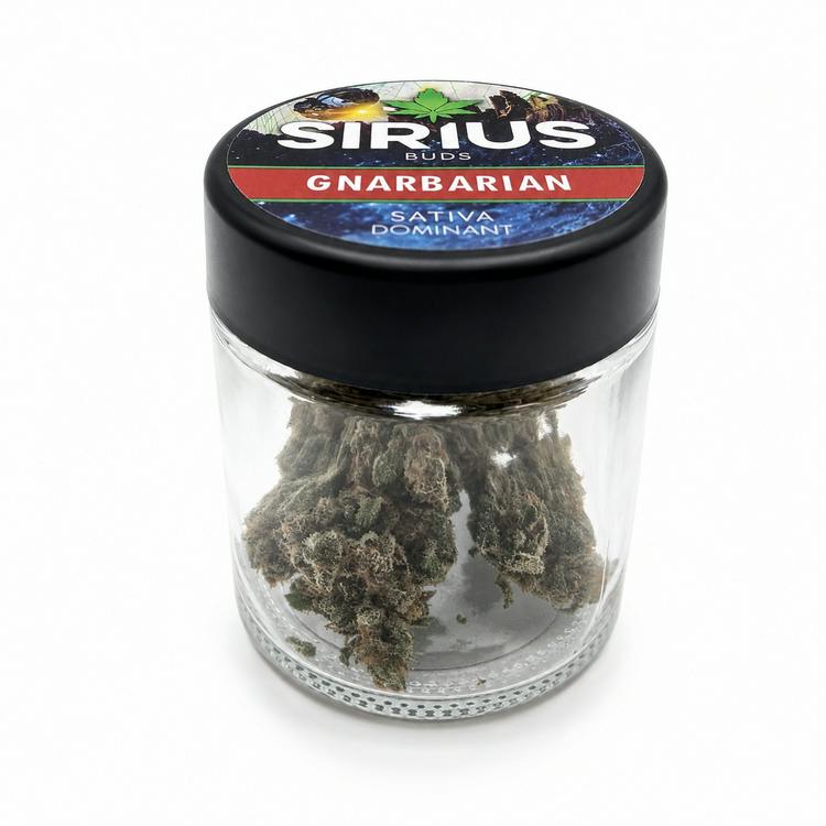 Serious GNARBARIAN 3.5g