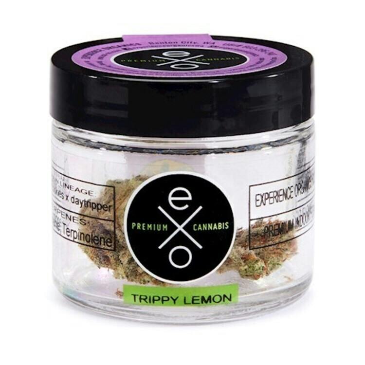 Experience Organics Trippy Lemon 1g Indica
