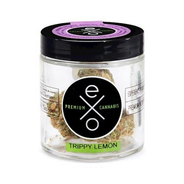 Experience Organics Trippy Lemon 3.5g Indica