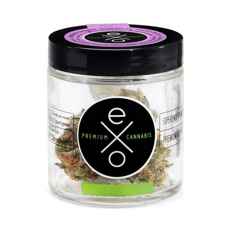 Experience Organics Cheddar Cheeze 1g Indica