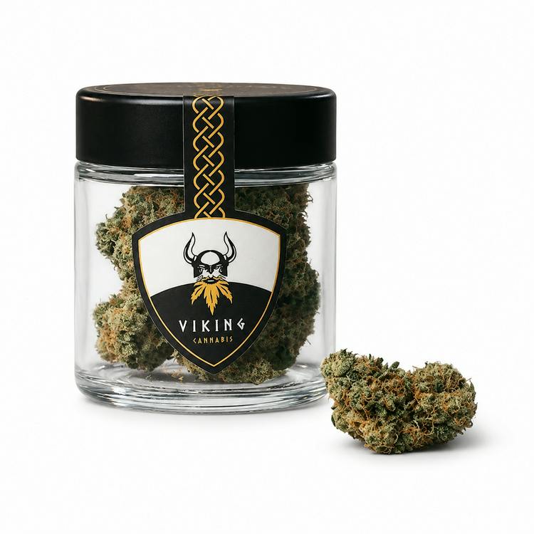 Viking Black Maple 3.5g Indica