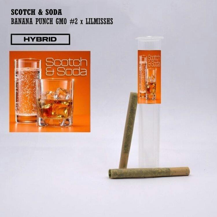 Phat Panda PR Scotch & Soda