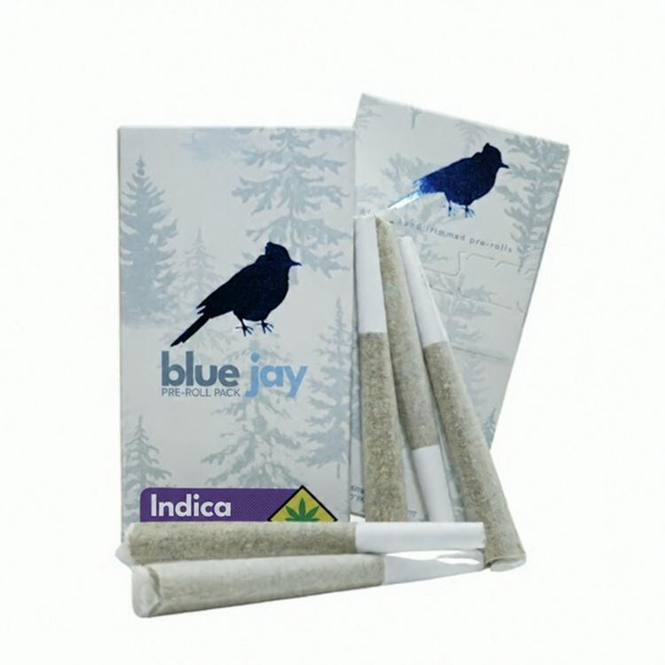 Blue Jay Infused Space Juice 5x1g Indica