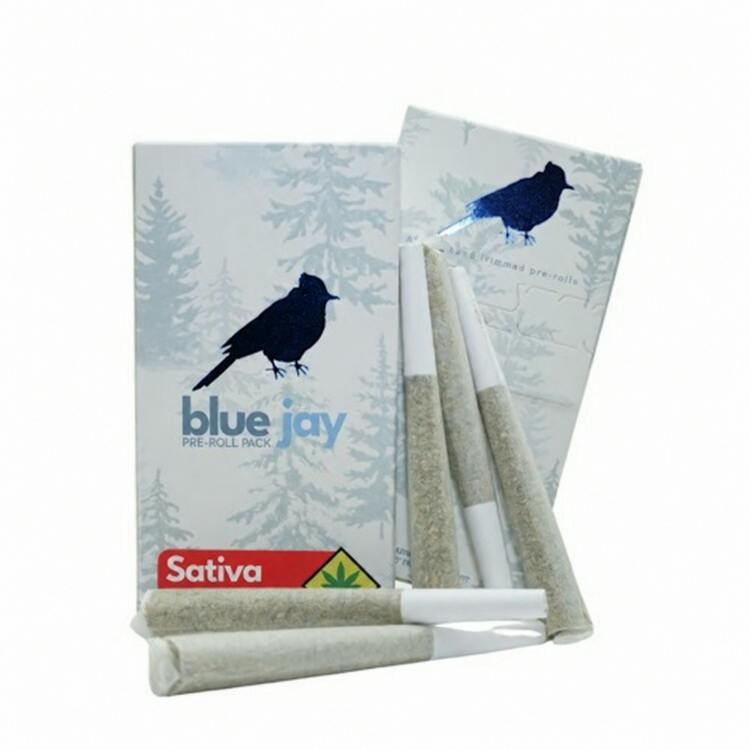 Blue Jay Infused Tahitian Orange Limeade 5x1g Sativa