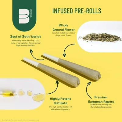 THE BOTANIST Joint 1g Infused: Violet Fog 2pk