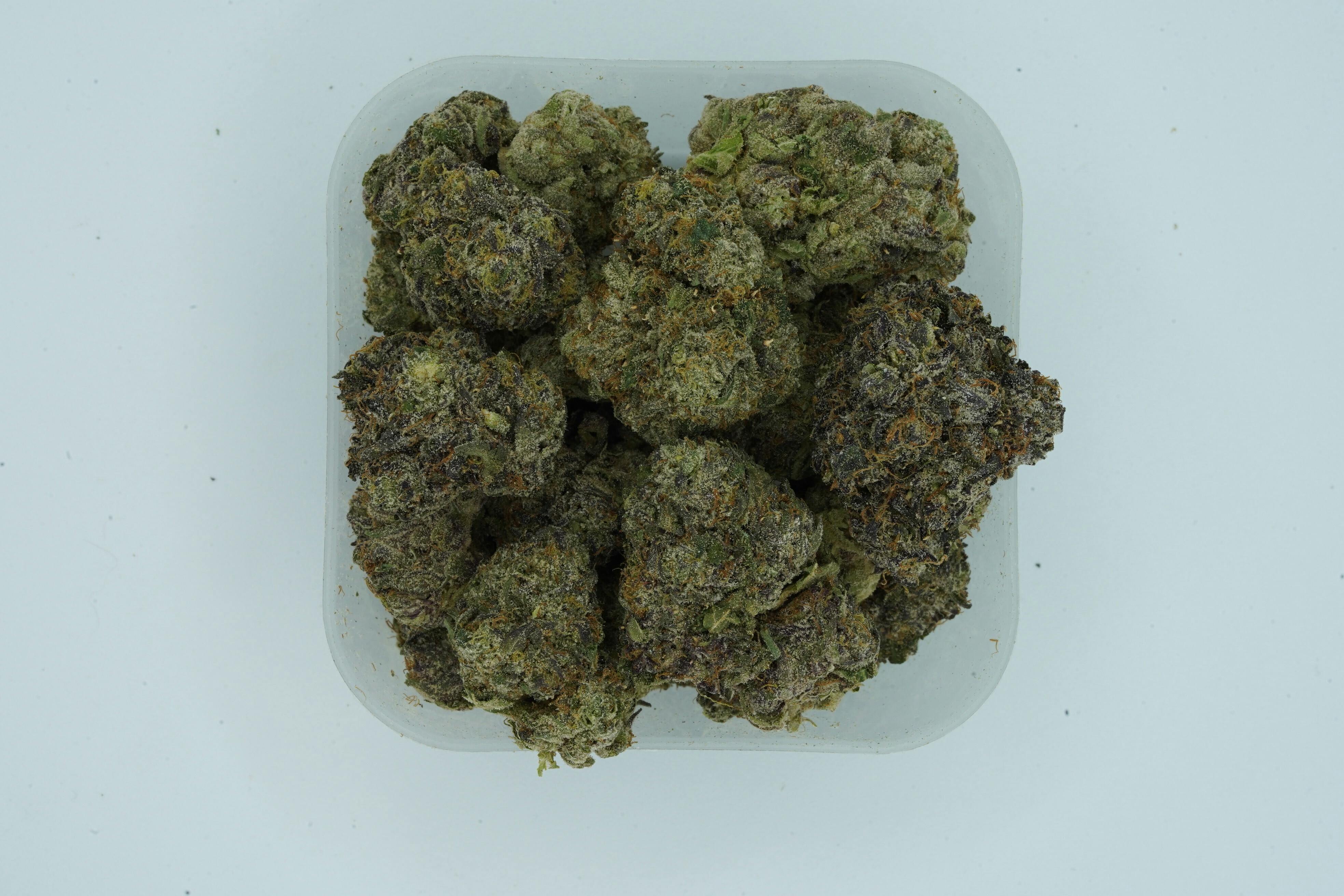 1006 Flower Black Cherry Gelato
