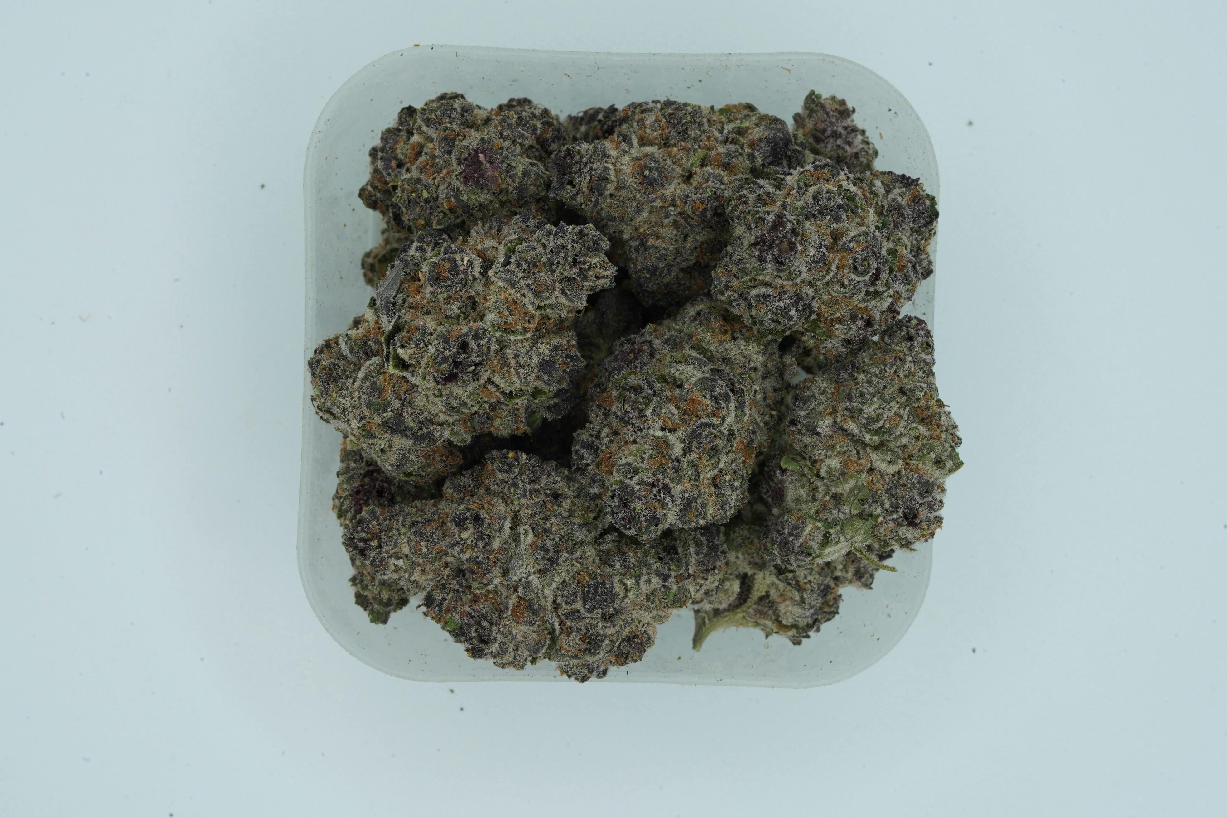 High Neighbor Flower Super Buff Cherry