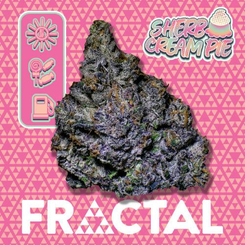 Fractal Cannabis Flower Sherb Cream Pie