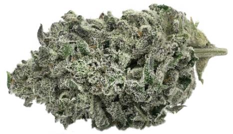 Sunset Sherbert
