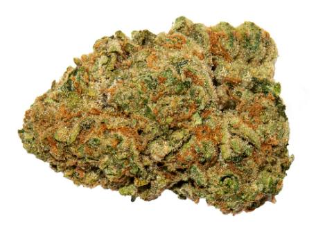 BC Spiced Grape