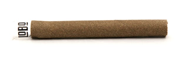 Presidente Blunt