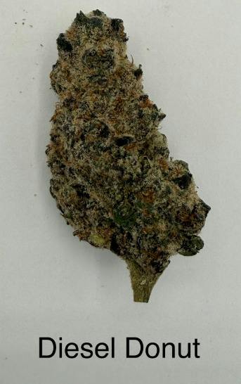 Diesel Donuts | Deli Jar | Hybrid | Holistic Wellness at Purple Co. MEDICAL