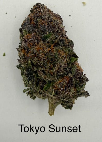 Tokyo Sunset | Deli Jar | Hybrid | Holistic Wellness at Purple Co. MEDICAL