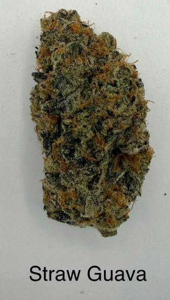 Strawberry Guava | Deli Jar | Sativa | Royal River at Purple Co. MEDICAL