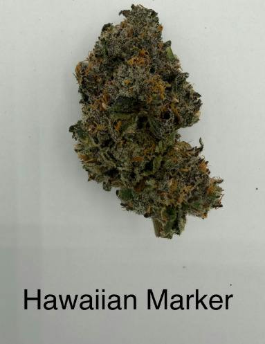 Hawaiian Marker | Deli Jar | Faded at Purple Co. MEDICAL