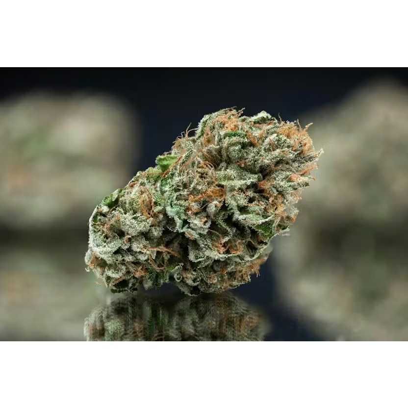 Mega Black Cherry | 3.5g