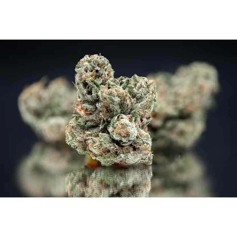 Mega Wellness OG | 3.5g